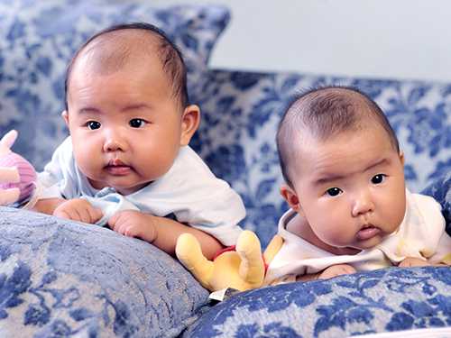 北京csp捐卵,试管婴儿捐卵