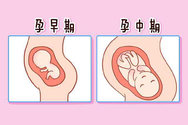 北京301医院做供卵试管的医生有哪些名字
